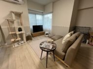 モデルルーム（愛猫と暮らす）