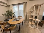 モデルルーム（愛猫と暮らす）