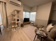 モデルルーム（愛猫と暮らす）