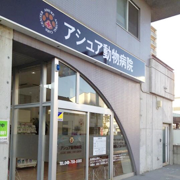 アシュア動物病院