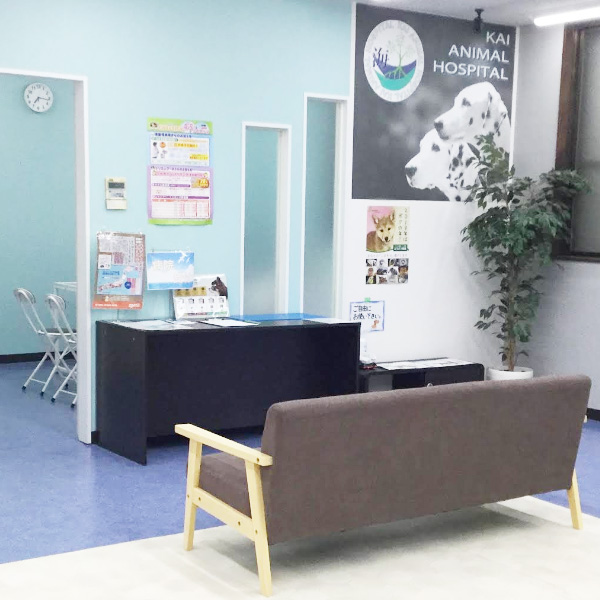 海動物病院　春日部往診所