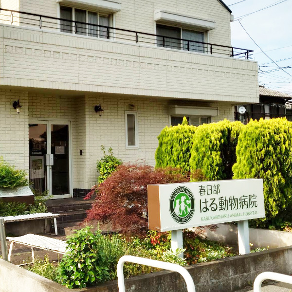 春日部はる動物病院