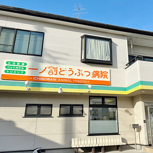 一ノ割どうぶつ病院