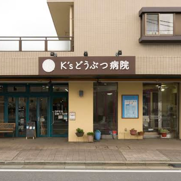 K'sどうぶつ病院