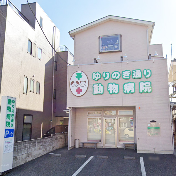 ゆりのき通り動物病院
