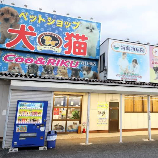 ペットショップCoo＆Riku春日部店
