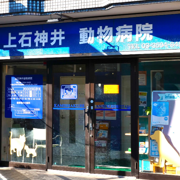 上石神井動物病院