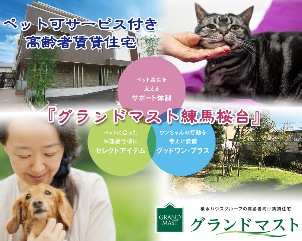 グランドマスト練馬桜台