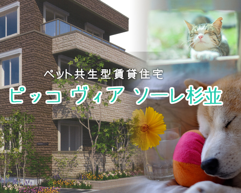 ペット共生型賃貸　ピッコ ヴィア ソーレ杉並