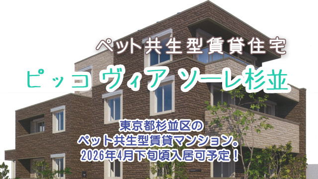 ★新築★2026年4月中旬完成予定！西武鉄道新宿線「上石神井」駅徒歩 12分「ピッコ ヴィア ソーレ杉並」先行入居者募集！！