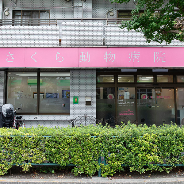 さくら動物病院