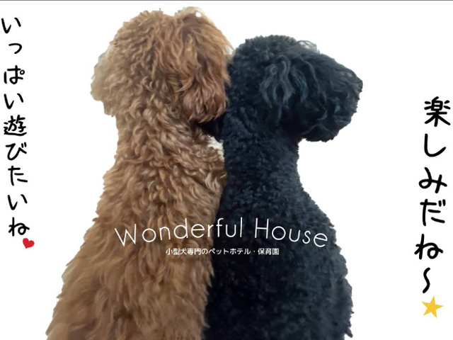 Wonderful House