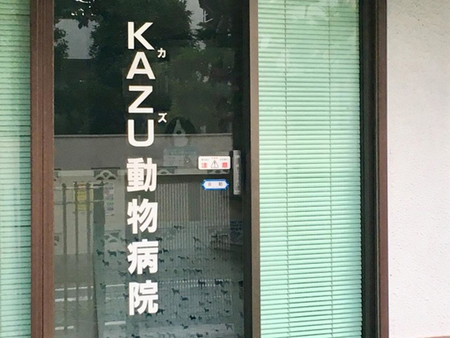 KAZU動物病院