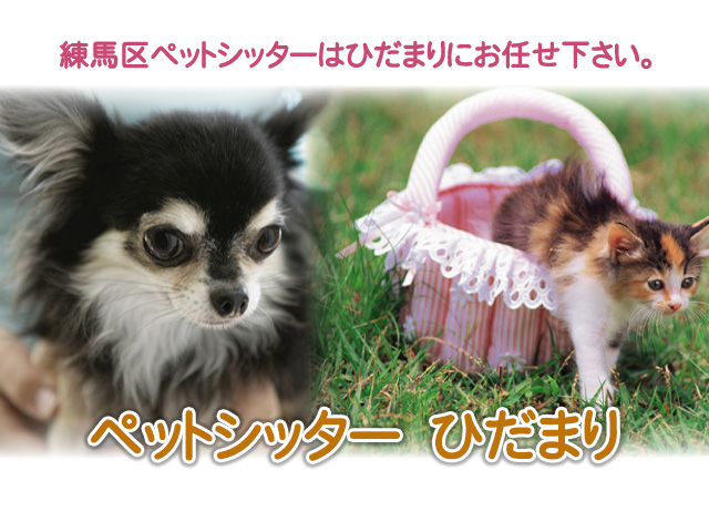ペットシッター　ひだまり