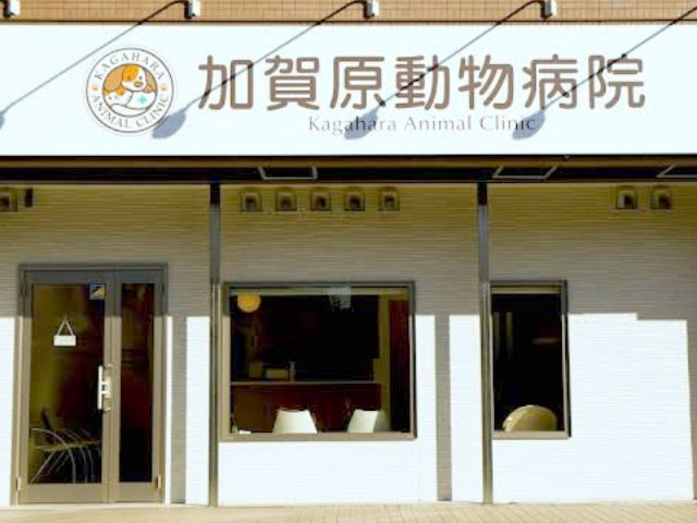 加賀原動物病院