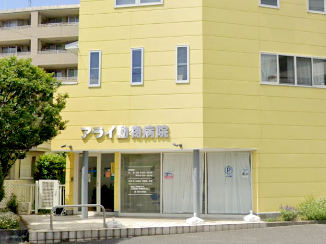 アライ動物病院