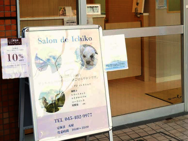 salon de ichiko