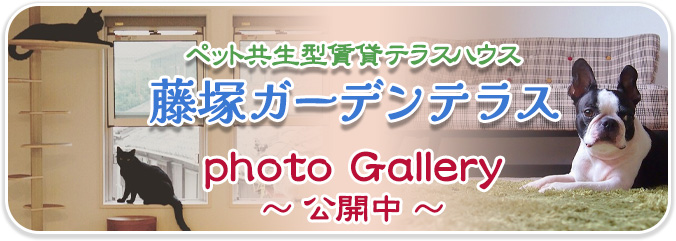 藤塚ガーデンテラス（photo gallery）