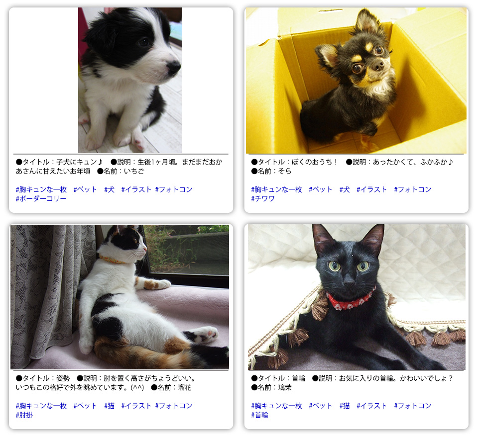 塩川由美子さんが描く17年カレンダーフォトコンテスト ペット可 犬 猫 賃貸アパート マンションアドバンスネット 塩川由美子さんが描く17年カレンダーフォトコンテスト ペット可 犬 猫 賃貸アパート マンションアドバンスネット