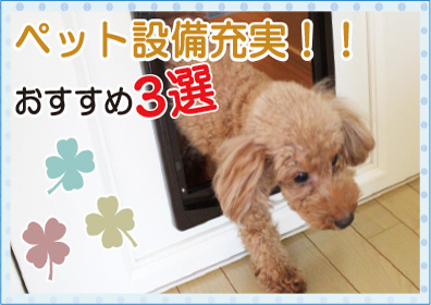 ペット設備充実!おすすめ3選