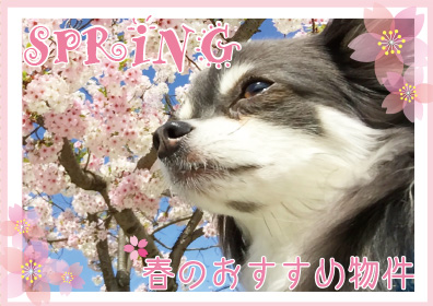 春のおすすめ物件特集