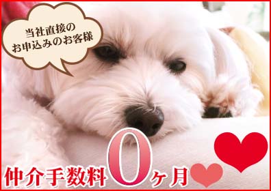 仲介手数料0ヶ月キャンペーン