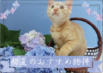 初夏(梅雨)のおすすめ物件特集