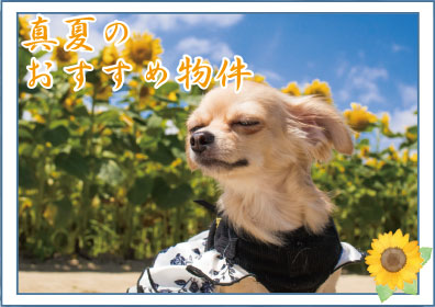 真夏のおすすめ物件特集