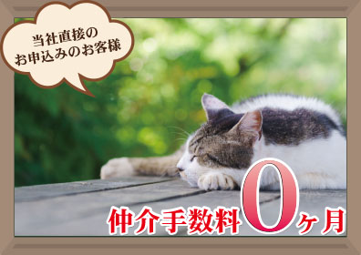 仲介手数料0ヶ月キャンペーン