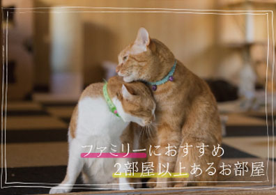 ファミリーにおすすめのお部屋