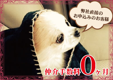 仲介手数料0ヶ月キャンペーン