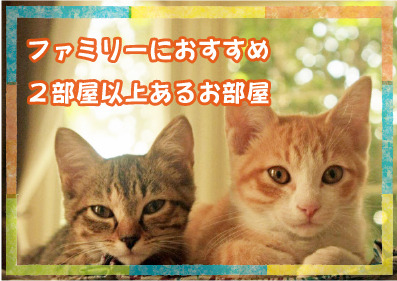 ファミリーにおすすめのお部屋