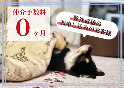 仲介手数料0ヶ月キャンペーン