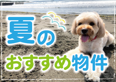 夏のおすすめ物件特集