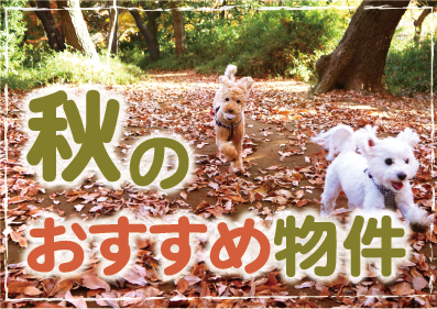 秋のおすすめ物件特集