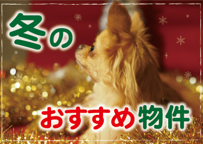 冬のおすすめ物件特集