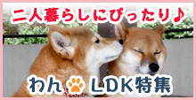ふたり暮らしにぴったり♪ちょっと広めのペット可！1ＬＤＫのお部屋
